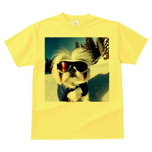 TVc Y LbY t@  t vg JWA 킢 lԗp h I XL[ V[Y[  ~ XL[EFA