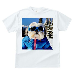 TVc fB[X t@  t vg JWA 킢 lԗp h I XL[ V[Y[ ~  XL[EFA