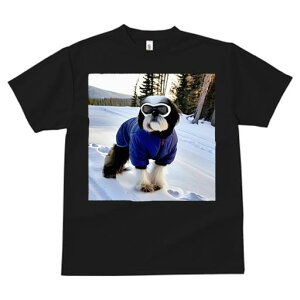 TVc fB[X t@  t vg JWA 킢 lԗp h I  V[Y[ ~ XL[EFA S[O