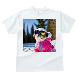 TVc fB[X t@  t vg JWA 킢 lԗp h I XL[ V[Y[ ~  XL[EFA