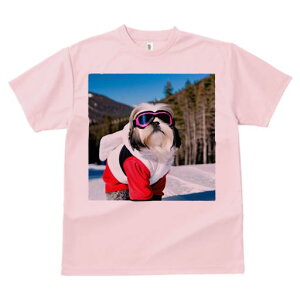 TVc Y LbY t@  t vg JWA 킢 lԗp h I XL[EFA V[Y[ XL[S[O R