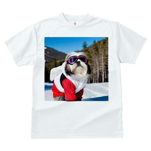 TVc Y LbY t@  t vg JWA 킢 lԗp h I XL[EFA V[Y[ XL[S[O R