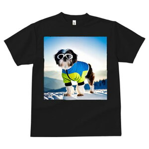 TVc fB[X t@  t vg JWA 킢 lԗp h I R V[Y[ XL[EFA TOX