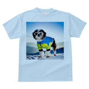 TVc Y LbY t@  t vg JWA 킢 lԗp h I R V[Y[ XL[EFA TOX