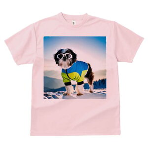 TVc Y LbY t@  t vg JWA 킢 lԗp h I R V[Y[ XL[EFA TOX