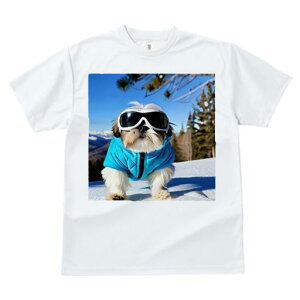 TVc fB[X t@  t vg JWA 킢 lԗp h I XL[ V[Y[ ~  XL[EFA