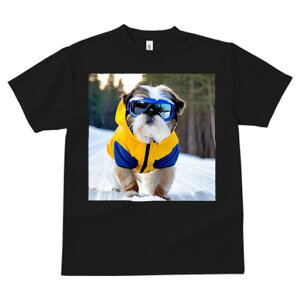 TVc fB[X t@  t vg JWA 킢 lԗp h I XL[EFA V[Y[ XL[S[O 