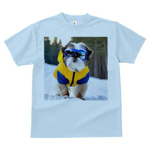 TVc Y LbY t@  t vg JWA 킢 lԗp h I XL[EFA V[Y[ XL[S[O 