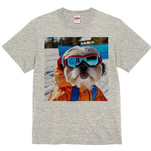 TVc Y LbY t@  t vg JWA 킢 lԗp h I XL[ V[Y[ XL[EFA S[O 