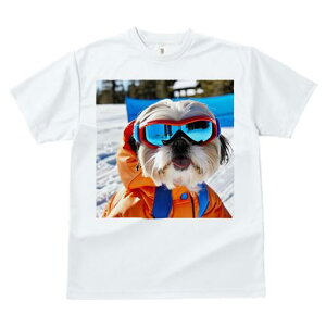 TVc fB[X t@  t vg JWA 킢 lԗp h I XL[ V[Y[ XL[EFA S[O 