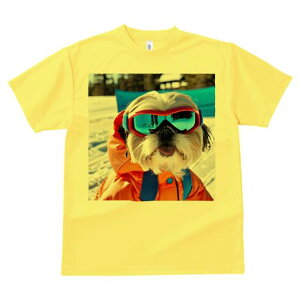 TVc Y LbY t@  t vg JWA 킢 lԗp h I XL[ V[Y[ XL[EFA S[O 