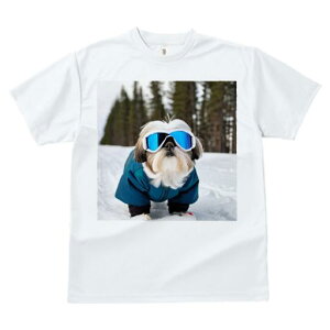 TVc fB[X t@  t vg JWA 킢 lԗp h I XL[ V[Y[  ~ XL[EFA