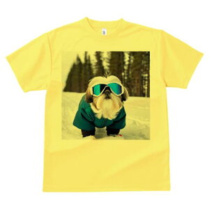 TVc Y LbY t@  t vg JWA 킢 lԗp h I XL[ V[Y[  ~ XL[EFA