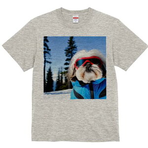 TVc Y LbY t@  t vg JWA 킢 lԗp h I XL[ V[Y[ ~  XL[EFA