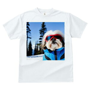 TVc fB[X t@  t vg JWA 킢 lԗp h I XL[ V[Y[ ~  XL[EFA