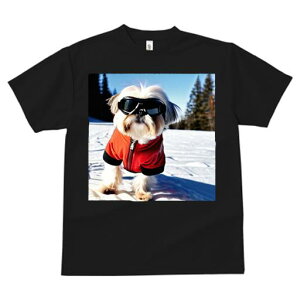 TVc Y LbY t@  t vg JWA 킢 lԗp h I XL[ V[Y[ ~  XL[EFA