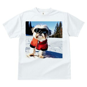 TVc fB[X t@  t vg JWA 킢 lԗp h I XL[ V[Y[ ~  XL[EFA