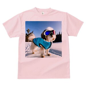 TVc Y LbY t@  t vg JWA 킢 lԗp h I XL[ V[Y[ ~  XL[EFA