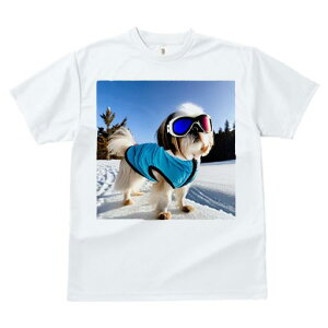 TVc fB[X t@  t vg JWA 킢 lԗp h I XL[ V[Y[ ~  XL[EFA