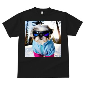 TVc fB[X t@  t vg JWA 킢 lԗp h I  V[Y[ ~ XL[EFA S[O