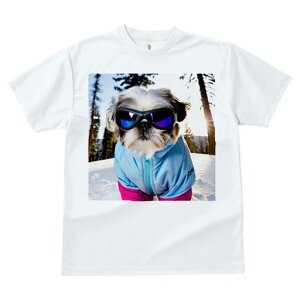 TVc fB[X t@  t vg JWA 킢 lԗp h I  V[Y[ ~ XL[EFA S[O