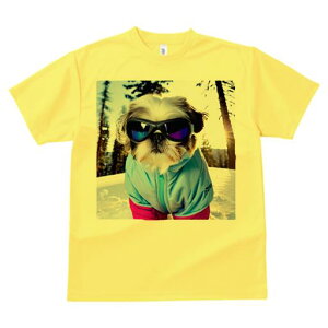 TVc Y LbY t@  t vg JWA 킢 lԗp h I  V[Y[ ~ XL[EFA S[O