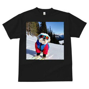 TVc fB[X t@  t vg JWA 킢 lԗp h I XL[ V[Y[ R ~ XL[EFA