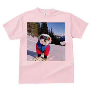 TVc Y LbY t@  t vg JWA 킢 lԗp h I XL[ V[Y[ R ~ XL[EFA