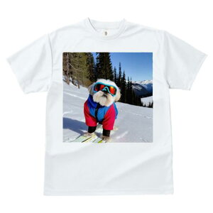 TVc fB[X t@  t vg JWA 킢 lԗp h I XL[ V[Y[ R ~ XL[EFA