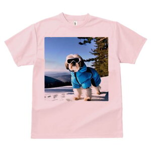 TVc Y LbY t@  t vg JWA 킢 lԗp h I XL[EFA V[Y[ XL[S[O R ~