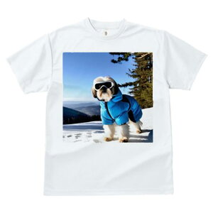 TVc fB[X t@  t vg JWA 킢 lԗp h I XL[EFA V[Y[ XL[S[O R ~