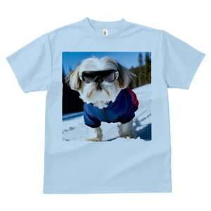 TVc Y LbY t@  t vg JWA 킢 lԗp h I XL[ V[Y[ ~  XL[EFA