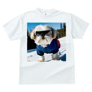 TVc fB[X t@  t vg JWA 킢 lԗp h I XL[ V[Y[ ~  XL[EFA