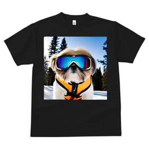 TVc Y LbY t@  t vg JWA 킢 lԗp h I XL[S[O V[Y[  ~ XL[EFA