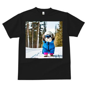 TVc fB[X t@  t vg JWA 킢 lԗp h I XL[EFA V[Y[  ~ XL[S[O