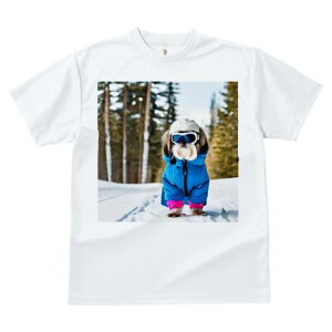 TVc fB[X t@  t vg JWA 킢 lԗp h I XL[EFA V[Y[  ~ XL[S[O