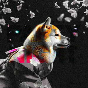  Č  NbVJo[ 45×45cm Aj}   NbV{̕t `