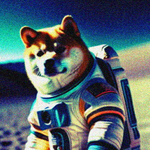 Fsm Č F NbVJo[ 45×45cm Aj}   NbV{̕t `