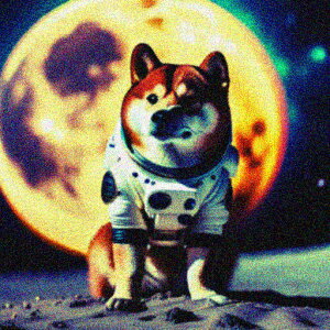 F Č  F NbVJo[ 45×45cm Aj}   NbV{̕t `