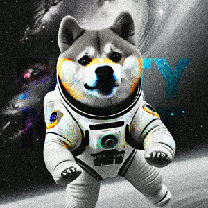 F Č F NbVJo[ 45×45cm Aj}   NbV{̕t `