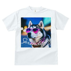 VxAnXL[ TVc  j[NfUCY LbY t@  t vg JWA 킢 lԗp Mtg I TOX VxAnXL[ lbNX