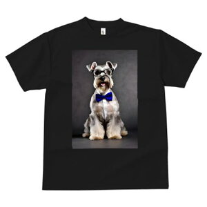 ~j`AViEU[ TVc  j[NfUCfB[X t@  t vg JWA 킢 lԗp Mtg I Kl ~j`AViEU[ lN^C V