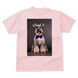 ~j`AViEU[ TVc  j[NfUCY LbY t@  t vg JWA 킢 lԗp Mtg I Kl ~j`AViEU[ lN^C 