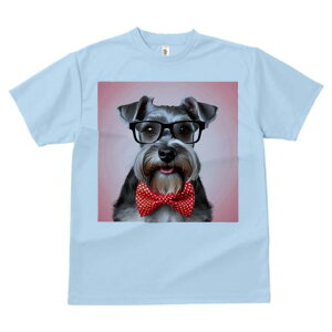 ~j`AViEU[ TVc  j[NfUCY LbY t@  t vg JWA 킢 lԗp Mtg I Kl ~j`AViEU[ lN^C