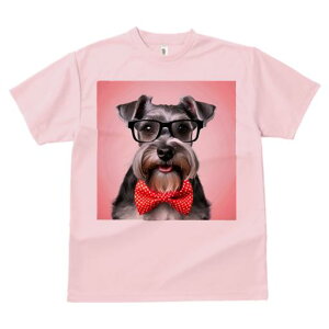 ~j`AViEU[ TVc  j[NfUCY LbY t@  t vg JWA 킢 lԗp Mtg I Kl ~j`AViEU[ lN^C