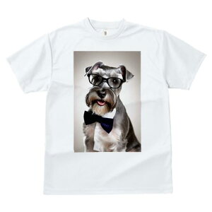 ~j`AViEU[ TVc  j[NfUCfB[X t@  t vg JWA 킢 lԗp Mtg I Kl ~j`AViEU[ lN^C V