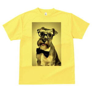 ~j`AViEU[ TVc  j[NfUCY LbY t@  t vg JWA 킢 lԗp Mtg I Kl ~j`AViEU[ lN^C 