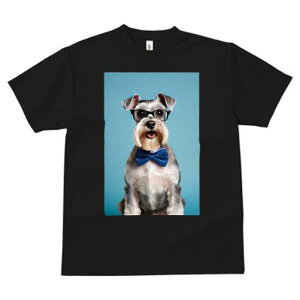 ~j`AViEU[ TVc  j[NfUCY LbY t@  t vg JWA 킢 lԗp Mtg I Kl ~j`AViEU[ lN^C