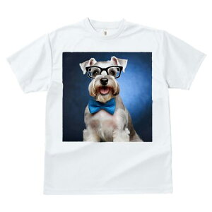 ~j`AViEU[ TVc  j[NfUCfB[X t@  t vg JWA 킢 lԗp Mtg I Kl ~j`AViEU[ lN^C