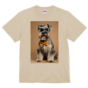 ~j`AViEU[ TVc  j[NfUCY LbY t@  t vg JWA 킢 lԗp Mtg I Kl ~j`AViEU[ lN^C